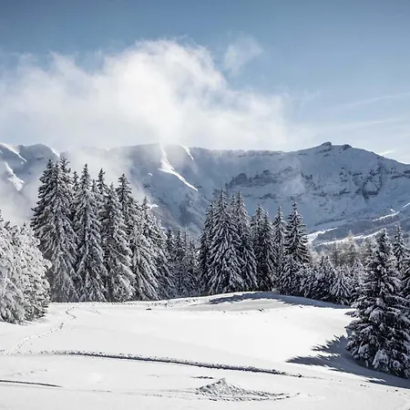 Apartmán Renove Avec 2 Suites, Balcon Et Poele A Bois, Proche Centre Et Remontees Mecaniques, - Fr-1-569-39 Megève
