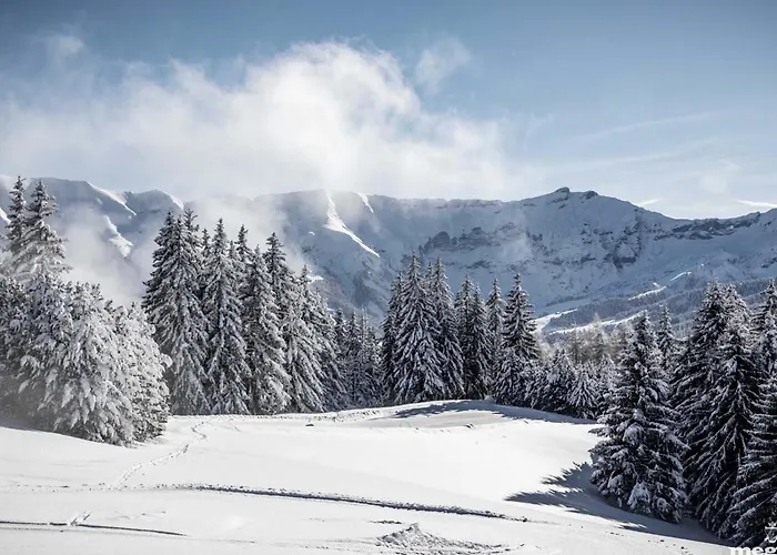 Rénové Avec 2 Suites, Balcon Et Poêle à Bois, Proche Centre Et Remontées Mécaniques, - Fr-1-569-39